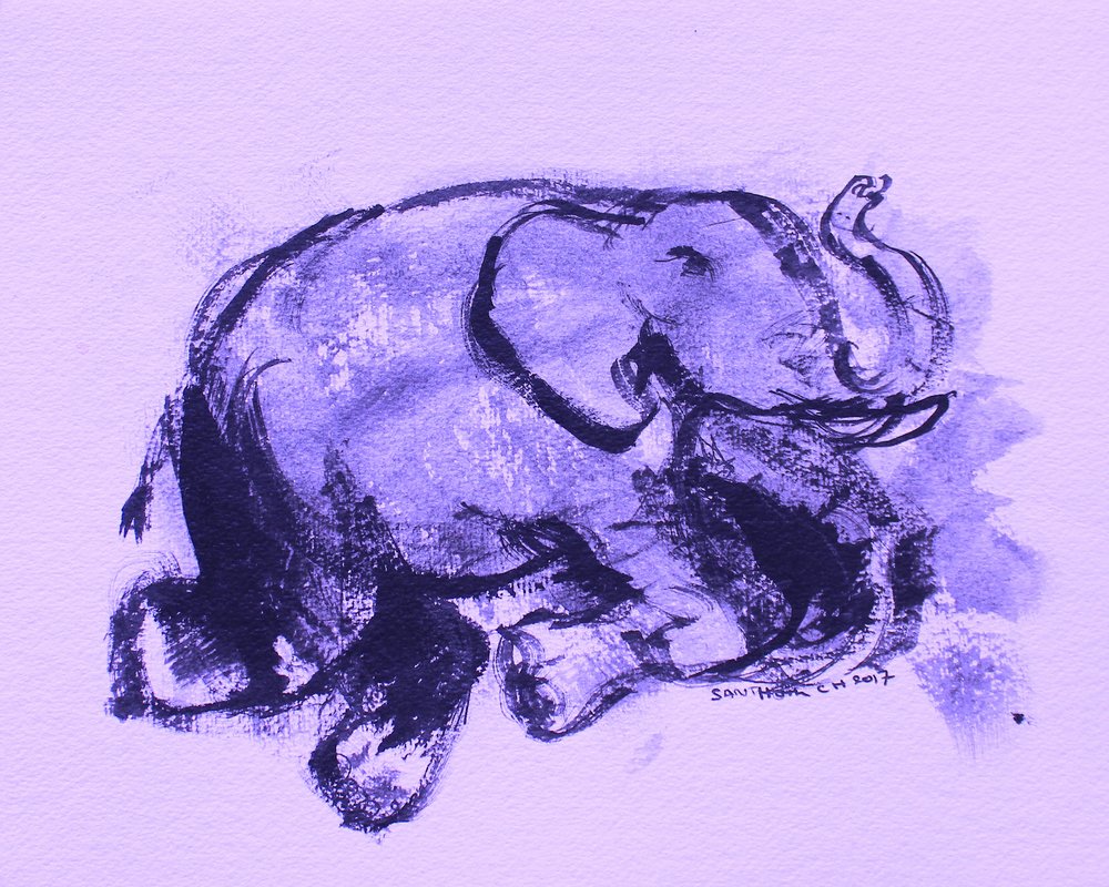 Elefant 42 av Santhosh ch
