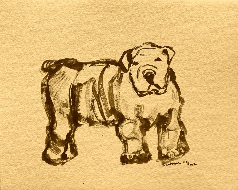 Uttrykksfull bulldogskisse av Santhosh ch