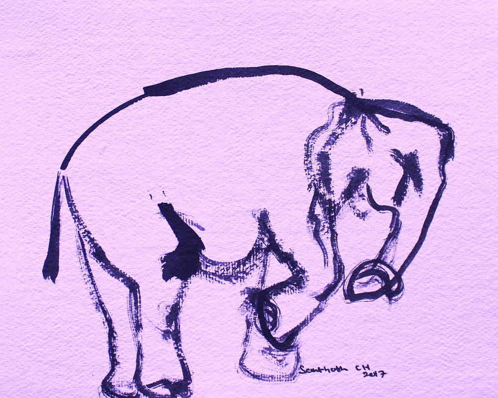 Mild elefant i blekk av Santhosh ch