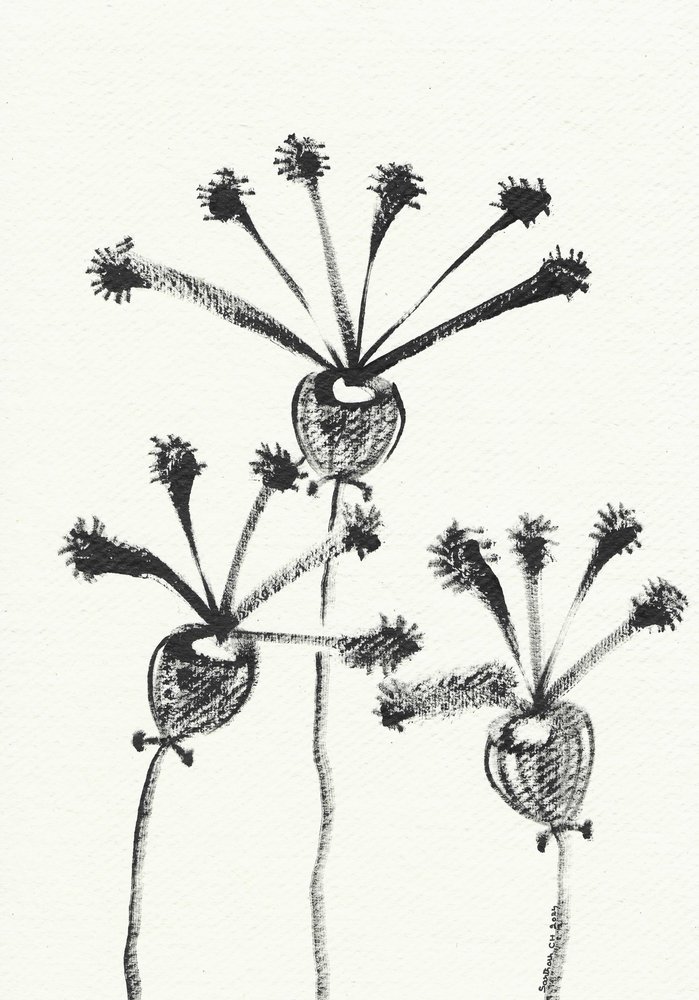 Minimalistisk botanisk tegning av Santhosh ch