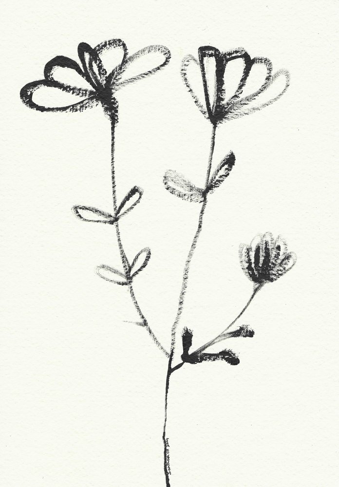 Minimalistisk blomsterskisse av Santhosh ch
