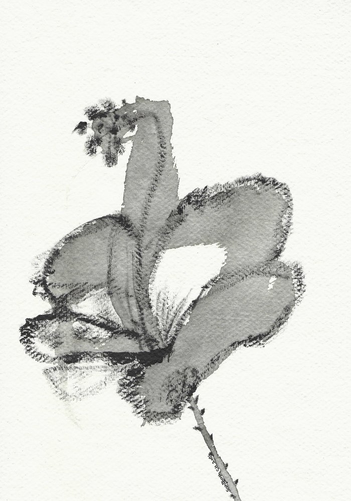 Monokrom blomsterstudie av Santhosh ch