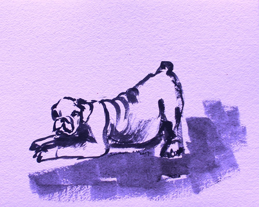 Leken bulldogstrekk av Santhosh ch