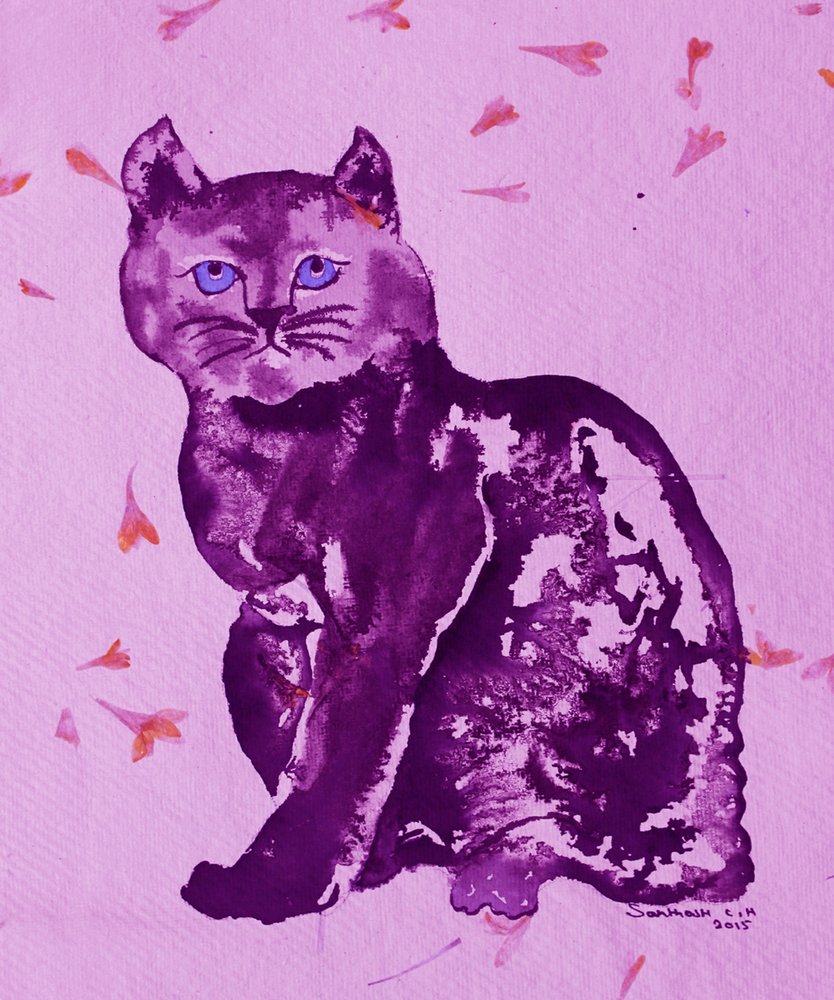 Den lilla katten og blomsterbladene av Santhosh ch
