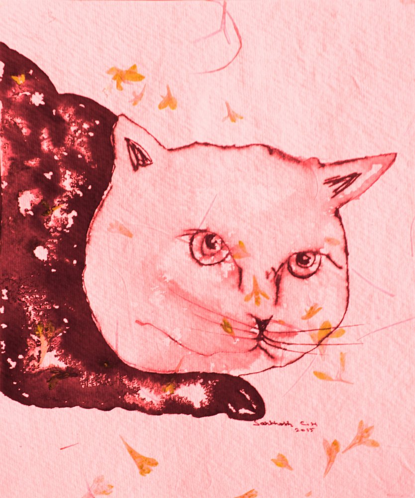 Den rolige rosa katten av Santhosh ch