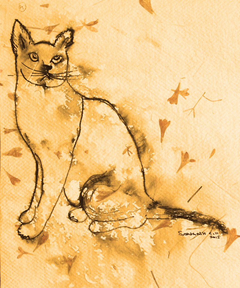 Den ettertenksomme sepia-katten av Santhosh ch