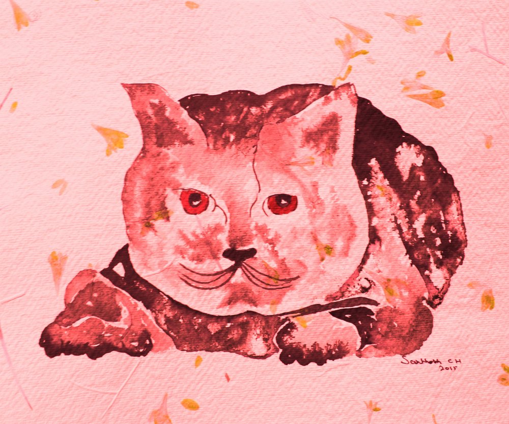 Den fantasifulle rosa katten av Santhosh ch