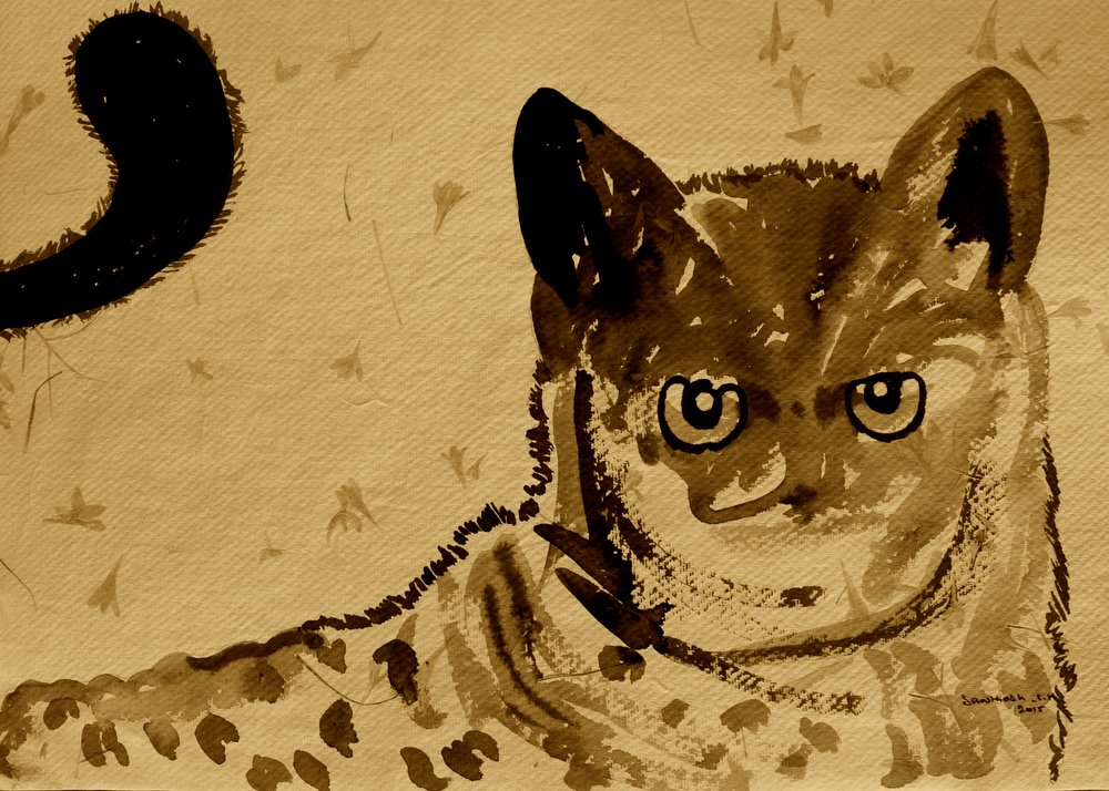 Wild Cat Gaze av Santhosh ch