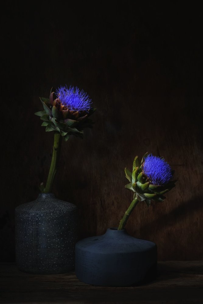 Mørke artisjokkblomster av Saskia Dingemans