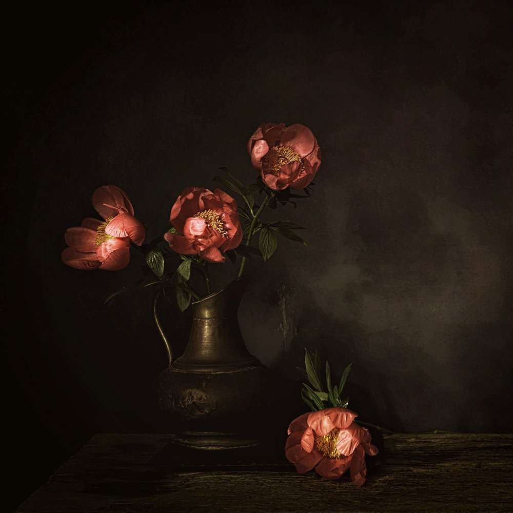 Dyp røde peonblomster av Saskia Dingemans