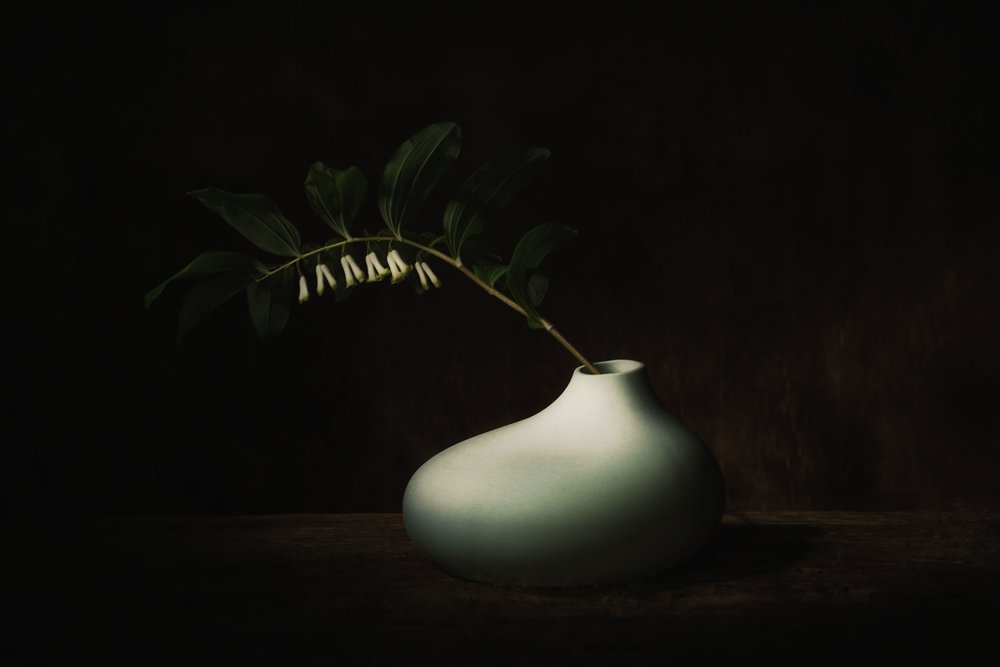 Delikat mørk blomsterstilleben av Saskia Dingemans