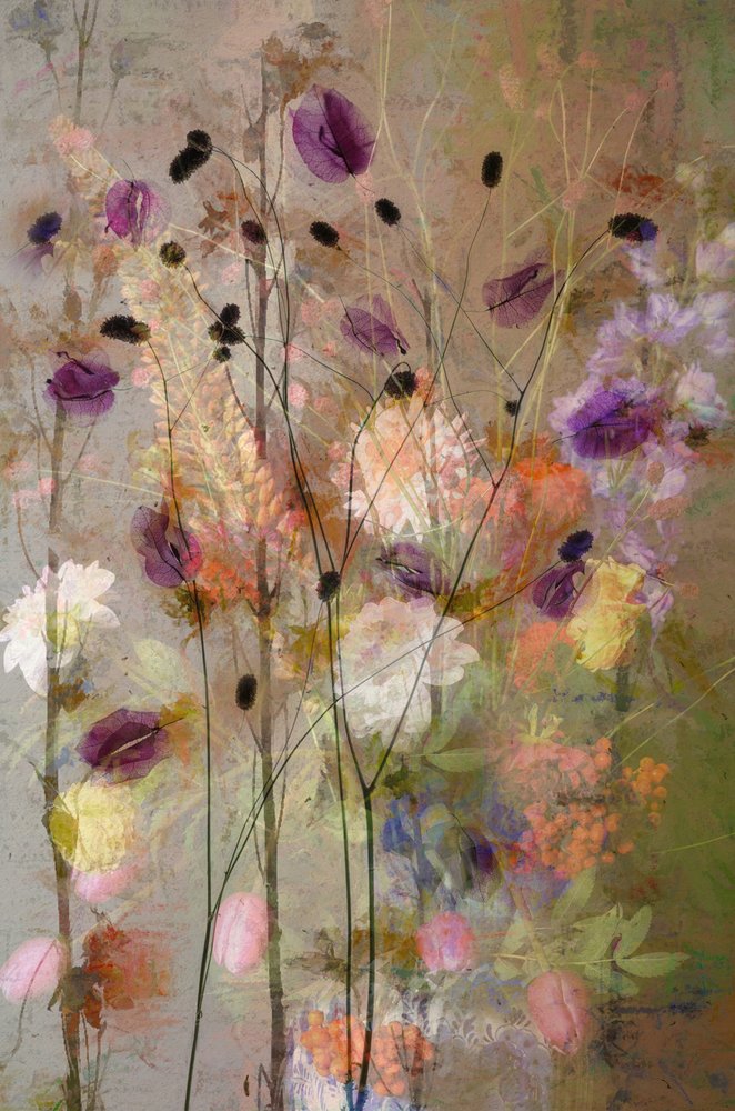Drømmende blomsterhage av Saskia Dingemans