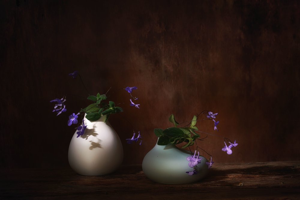 Svevende lilla blomster av Saskia Dingemans