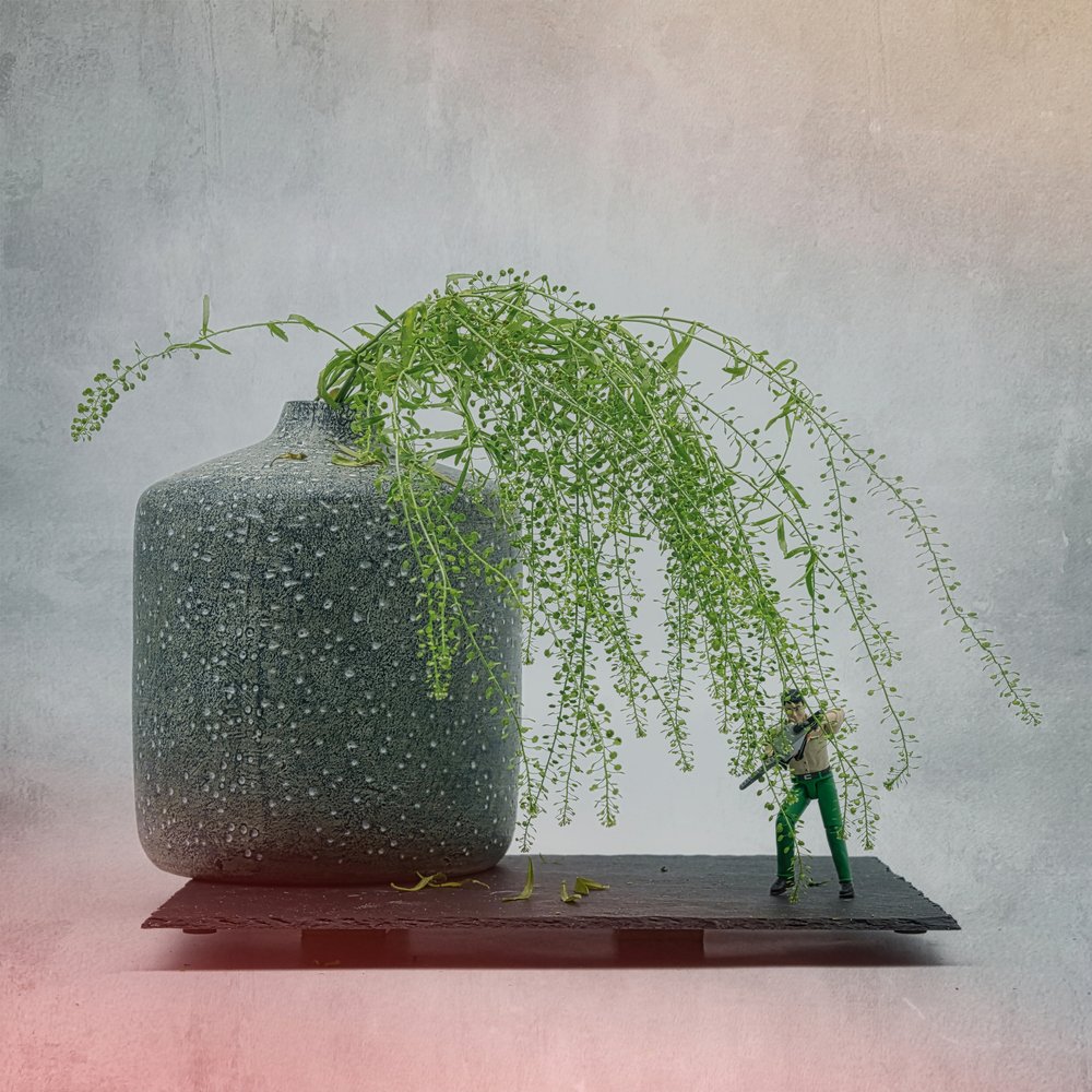 Plante med miniatyrsoldat av Saskia Dingemans