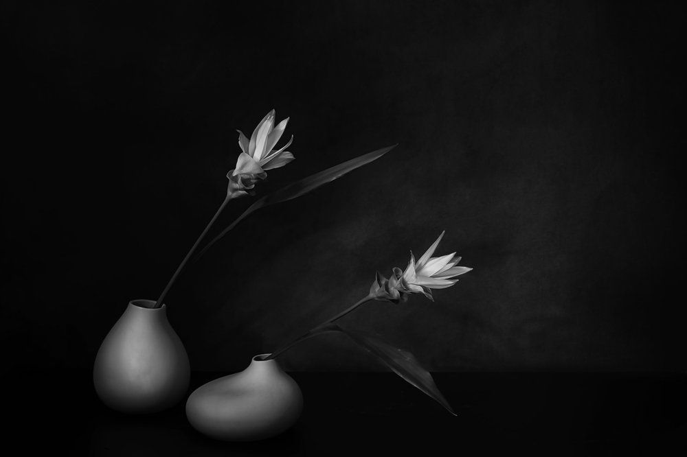 Monokrom blomsterro av Saskia Dingemans
