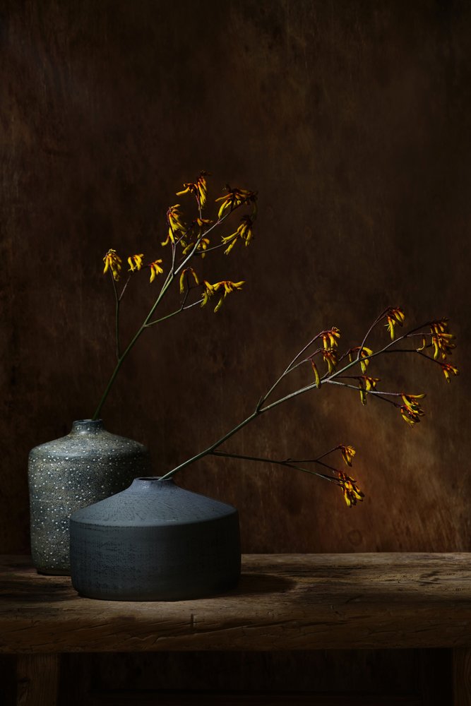 Stemningsfulle botaniske vaser av Saskia Dingemans