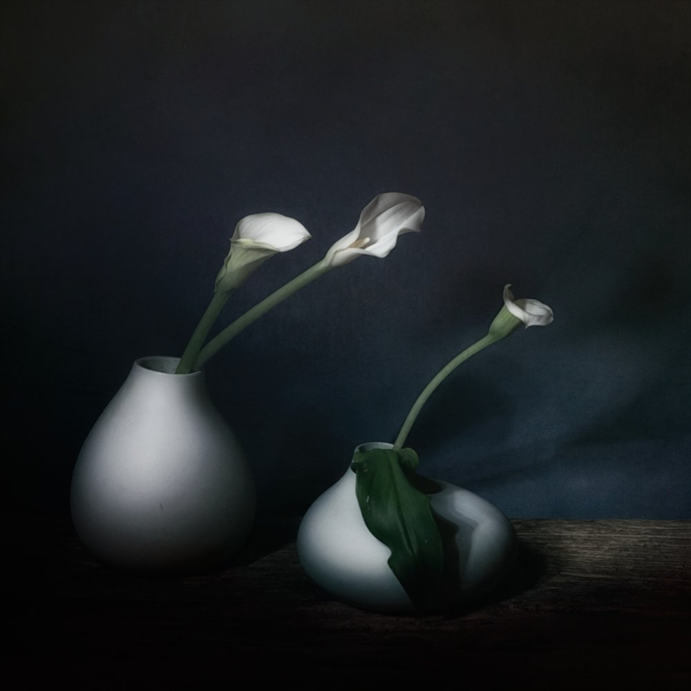 Stemningsfulle kallablomster av Saskia Dingemans