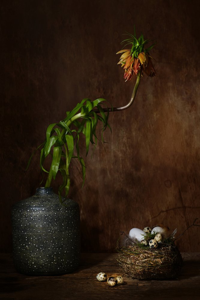 Stemningsfull blomsterrede av Saskia Dingemans
