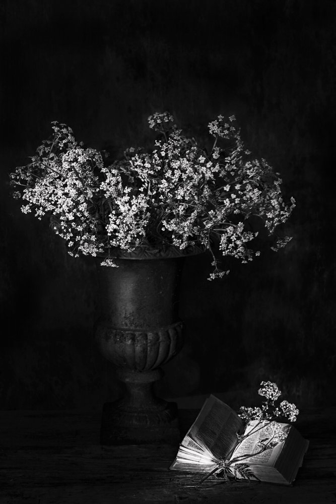 Stemningsfullt blomsterstilleben av Saskia Dingemans