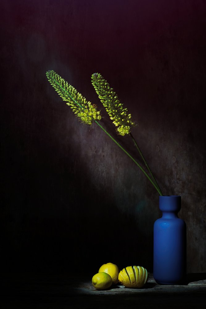 Stemningsfulle gule blomster og sitroner av Saskia Dingemans