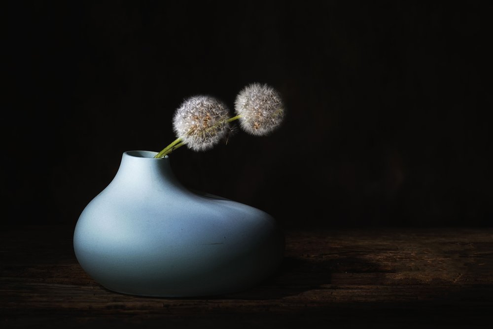 Stille løvetanner av Saskia Dingemans