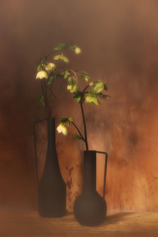 Stille blomsterprakt av Saskia Dingemans