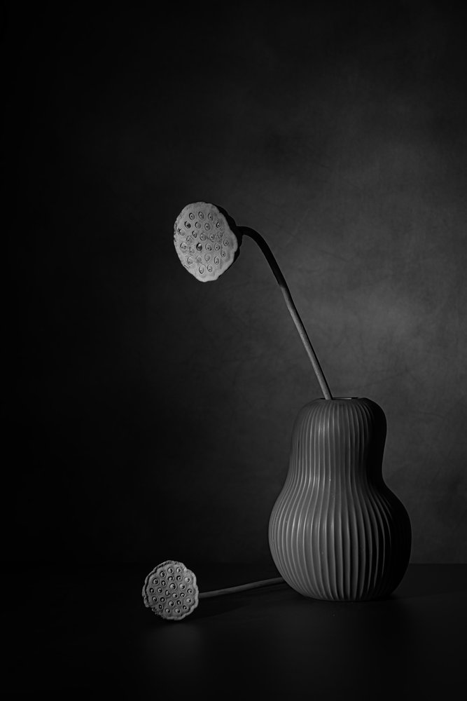 Stille lotus-stilleben av Saskia Dingemans