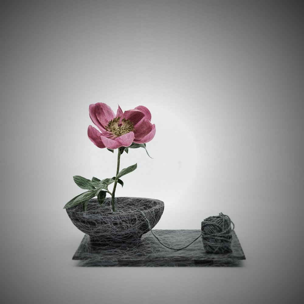 Scene med sammenflettede rosa blomster av Saskia Dingemans