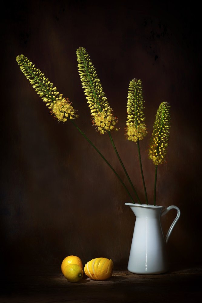 Gule blomster og sitroner av Saskia Dingemans