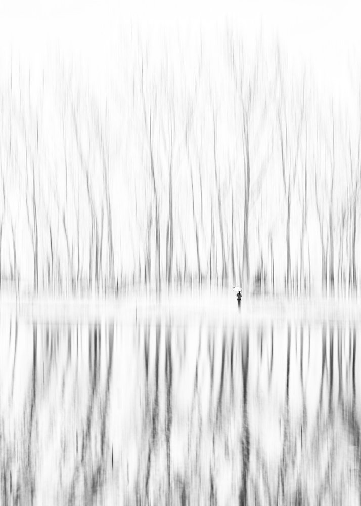  av Shanrui Ren