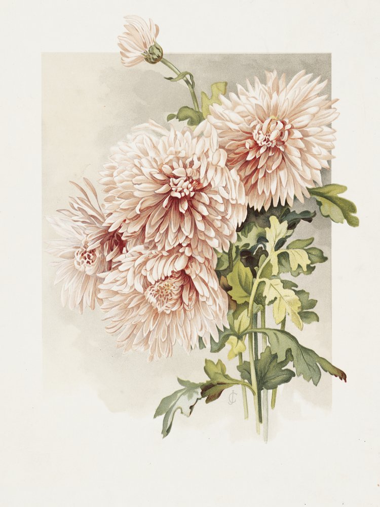  av Sidney Thomas Callowhill