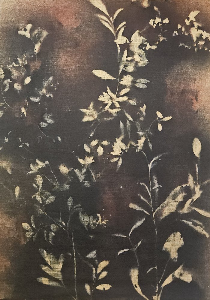Mørke botaniske silhuetter av Stefano Mazzolini