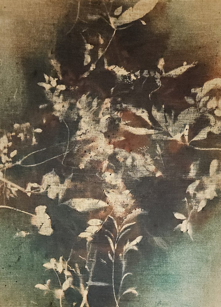 Mørke eteriske botaniske motiver av Stefano Mazzolini