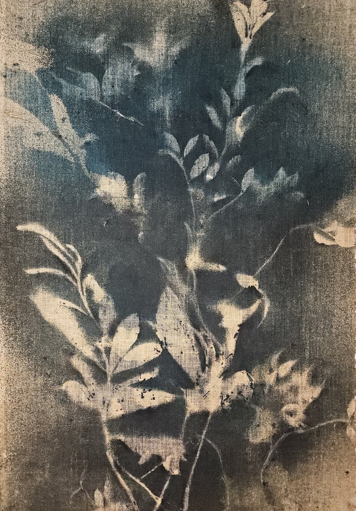 Eteriske blå botaniske motiver av Stefano Mazzolini
