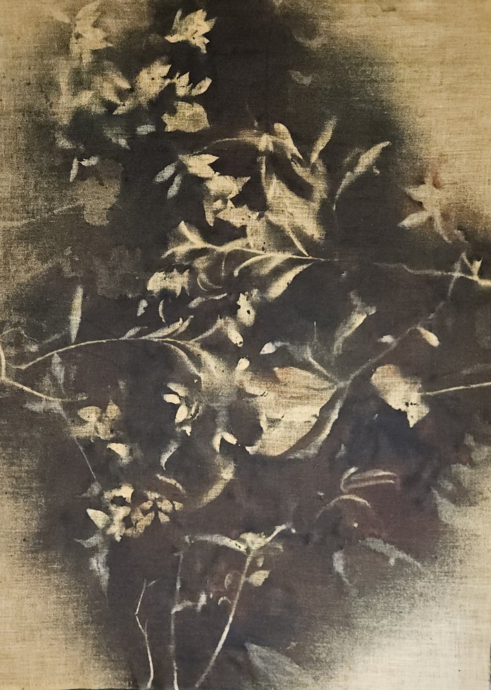 Stemningsfulle blomsterskygger av Stefano Mazzolini