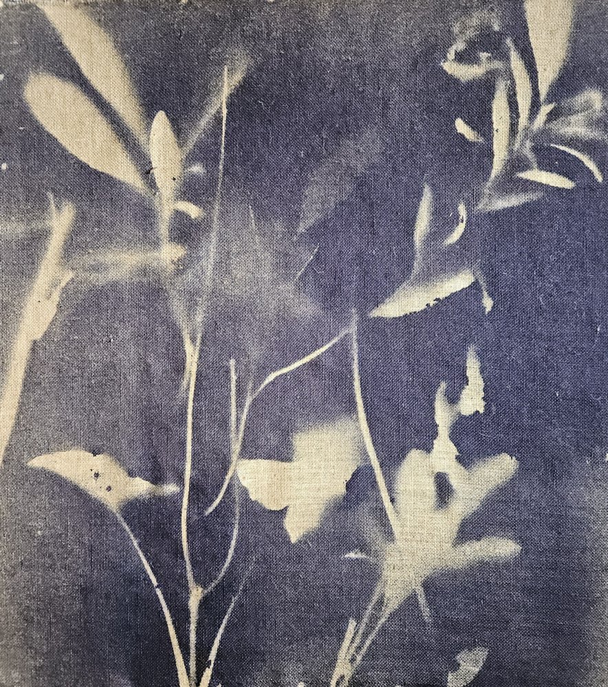 Vintage botaniske blåtoner av Stefano Mazzolini