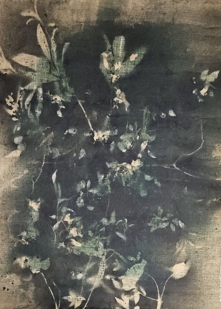 Botaniske vintageskygger av Stefano Mazzolini