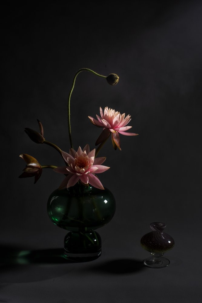 Elegante rosa liljer av Summer2016