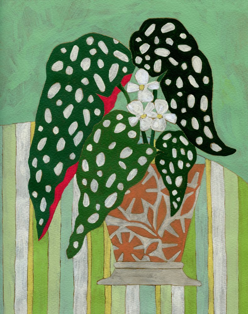  av Susan Black