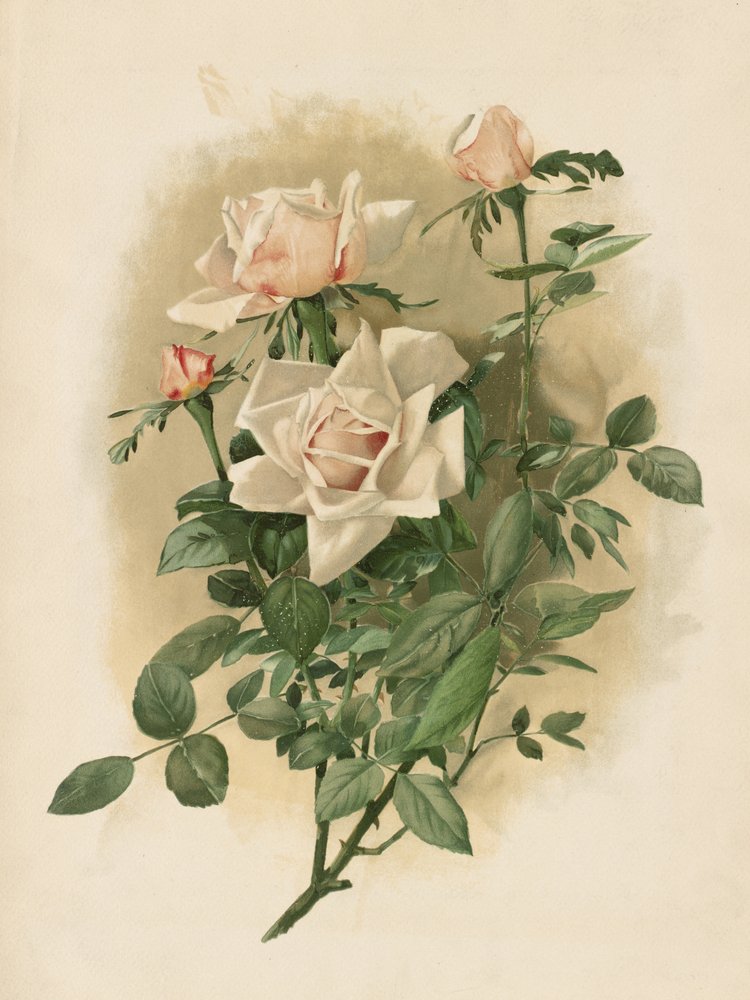  av Thaddeus Welch