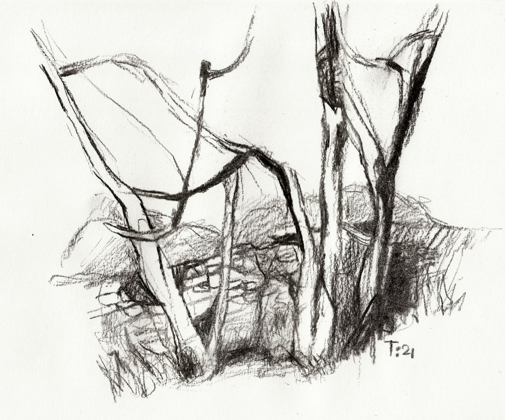  av Tore Bahnson