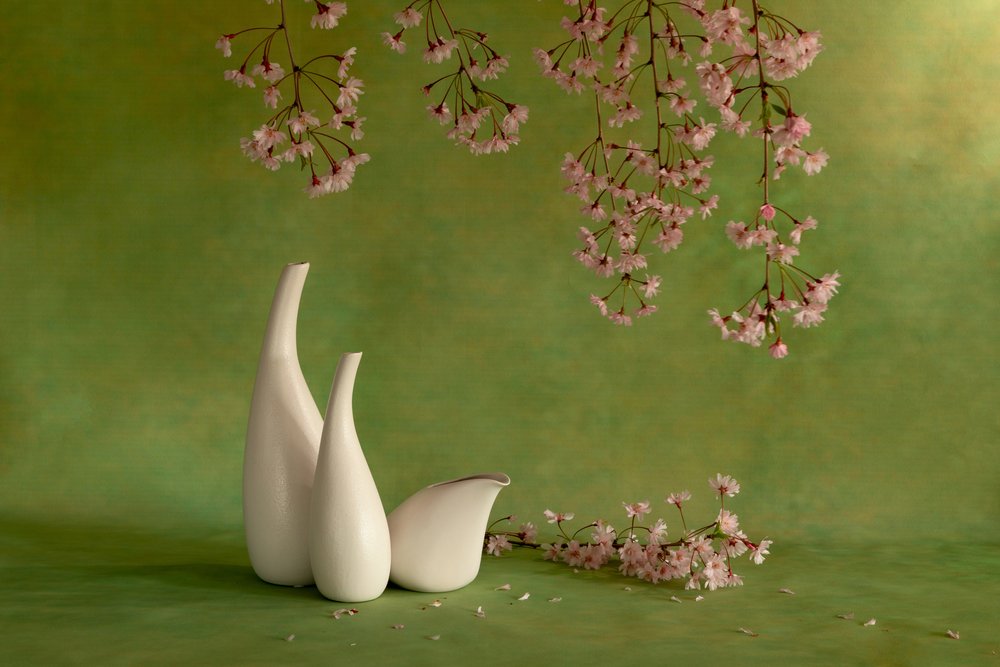  av Wendy Xu