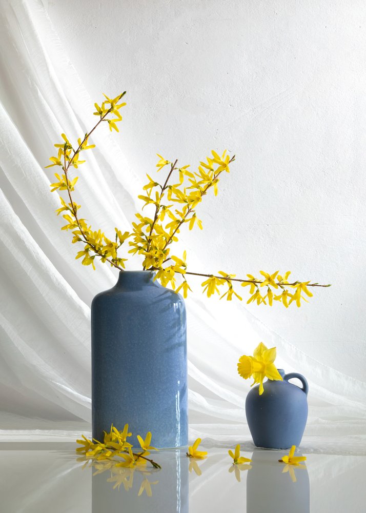  av Wendy Xu