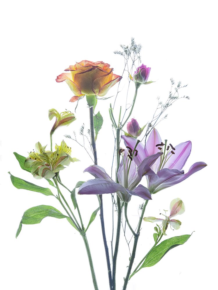 Gjennomsiktig blomsterprakt av Yun Thwaits
