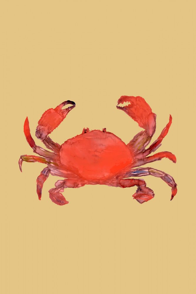  av cartissi