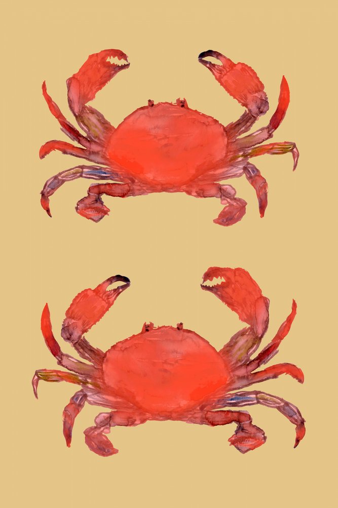  av cartissi