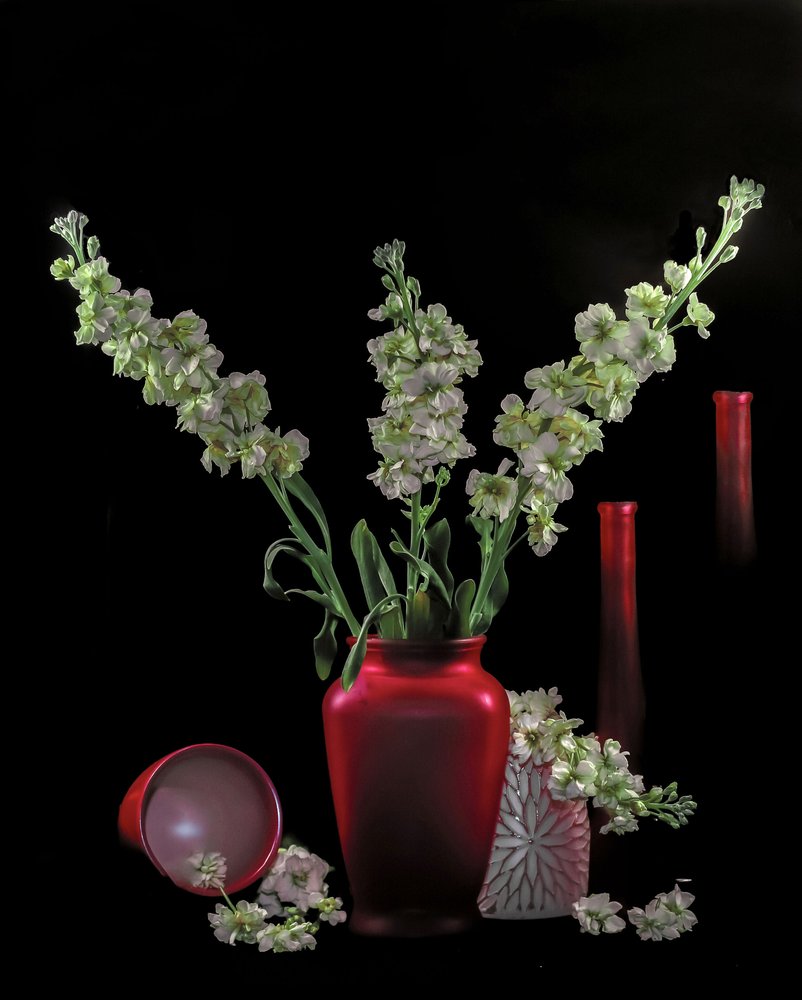 Grønne blomster, røde vaser av jlloydphoto