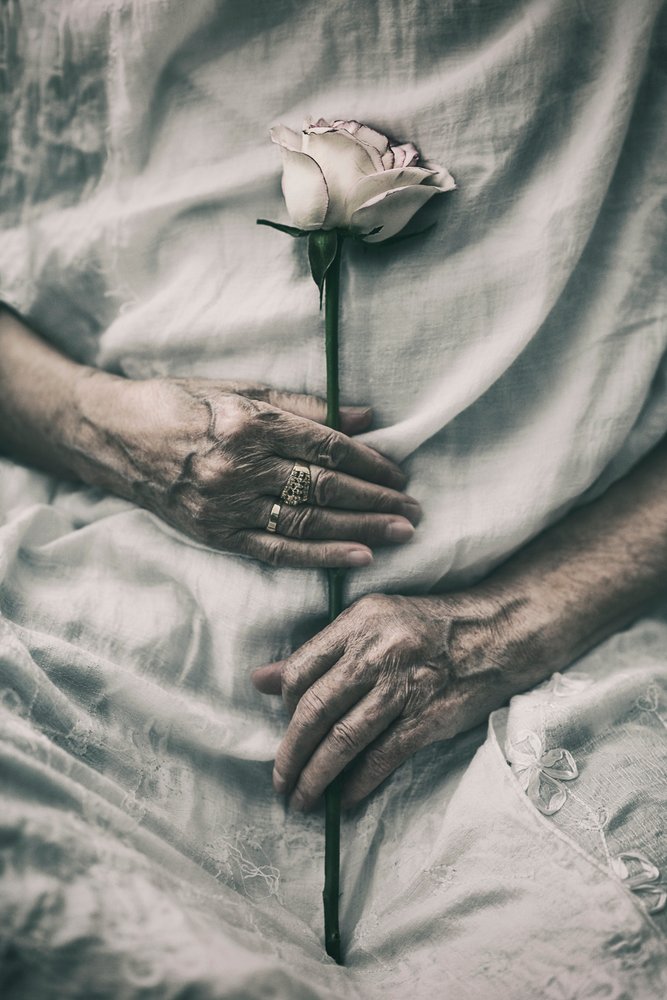 Ømme hender holder en rose av nima.zadshir