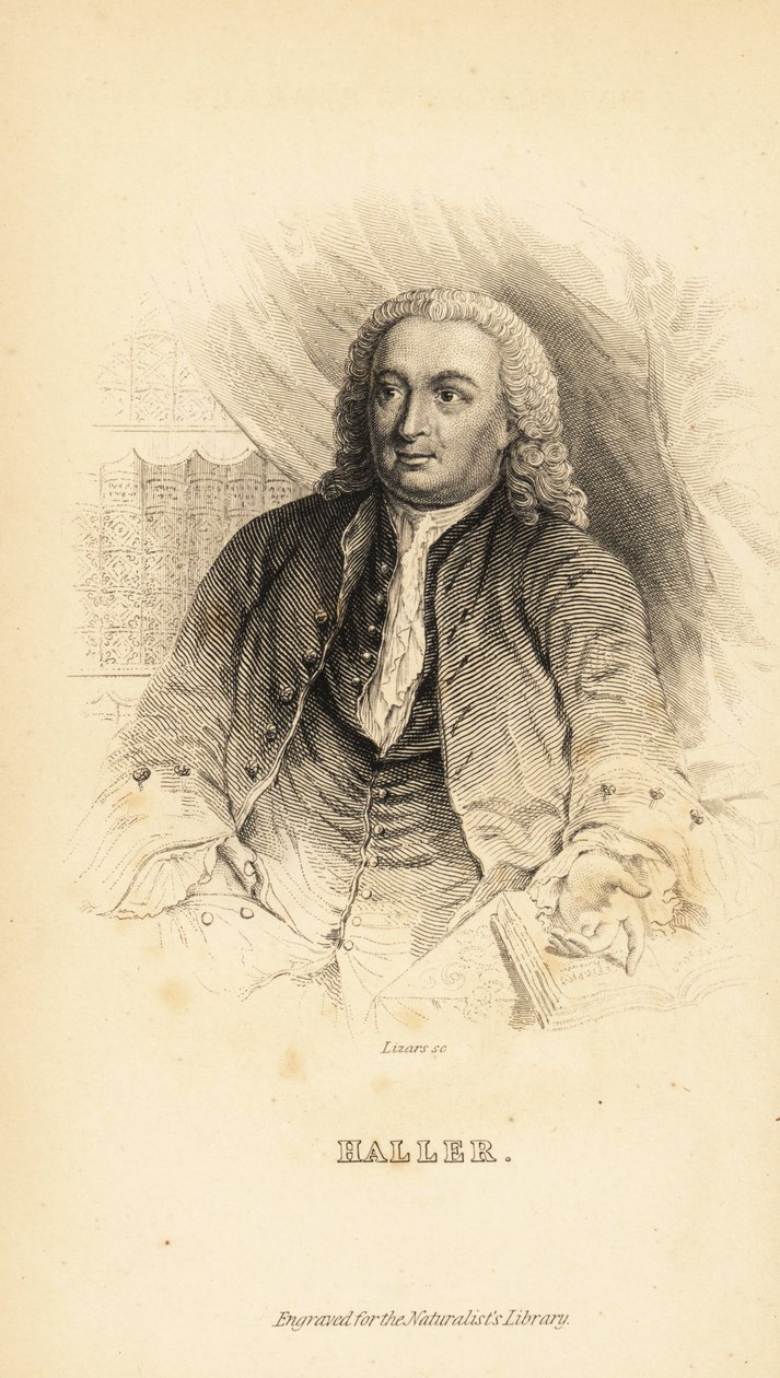 Albrecht von Haller , sveitsisk anatom, naturforsker og poet, 1708-1777 av Unknown