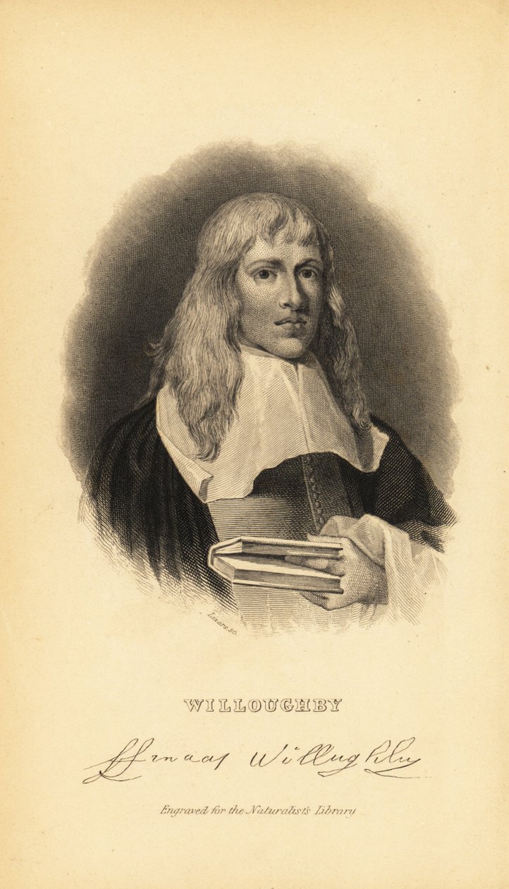 Francis Willughby eller Willoughby, engelsk ornitolog og iktyolog, 1635-1672 av Unknown